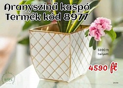 Újdonság júniusban‼️ Aranyszínű kaspó Lemez Termék kód: 8977 5890Ft helyett 4️⃣5️⃣9️⃣0️⃣Ft  🎍 Stílusos megjelenés: az arany szín eleganciát és luxust ad a növényeknek  🎍 16x7,5 cm
