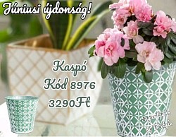 Újdonság júniusban 🥰 Kaspó Lemez Termék kód: 8976 4090Ft helyett 3️⃣2️⃣9️⃣0️⃣Ft  🎍 Ez egyszerű módja annak, hogy dekoratív módon elfedd a cserepet: eltakarja a csúnya cserepeket és javítja a növények megjelenését   🎍 15,5x14,5 cm